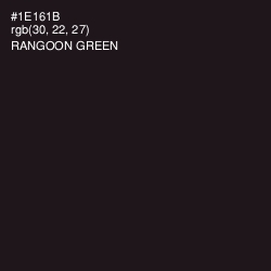 #1E161B - Rangoon Green Color Image
